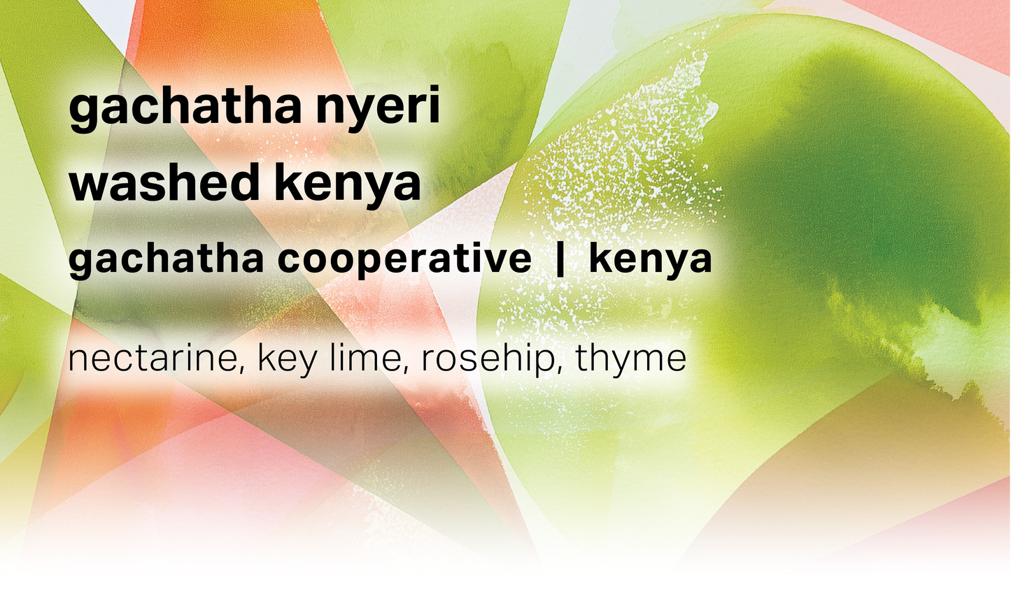 Gachatha Nyeri - Gachatha Cooperative - Washed Kenya - Kenya