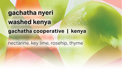 Gachatha Nyeri - Gachatha Cooperative - Washed Kenya - Kenya