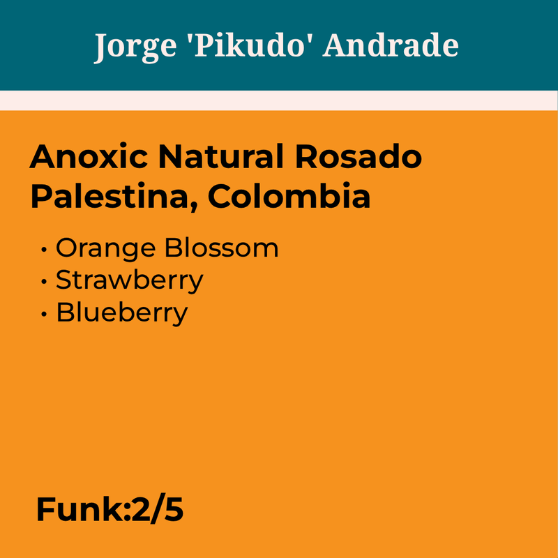 Jorge 'Pikudo' Andrade Rosado