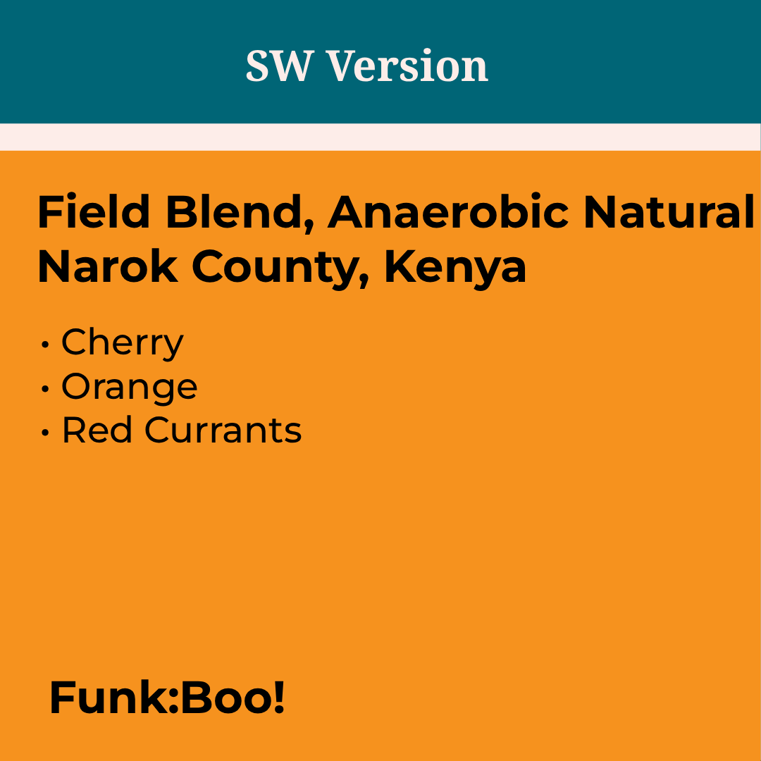 [SW x CETO] Kenya Mara Estate Anaerobic Natural