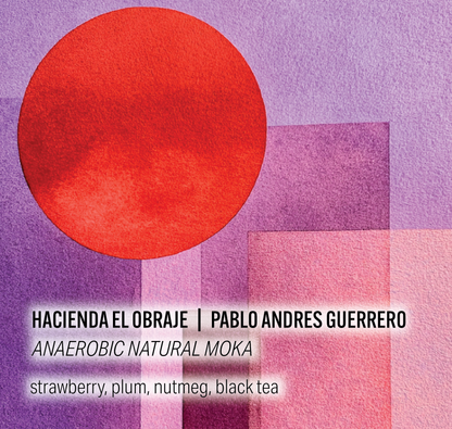 Hacienda El Obraje - Pablo Andrés Guerrero - Anaerobic Natural Moka - Colombia