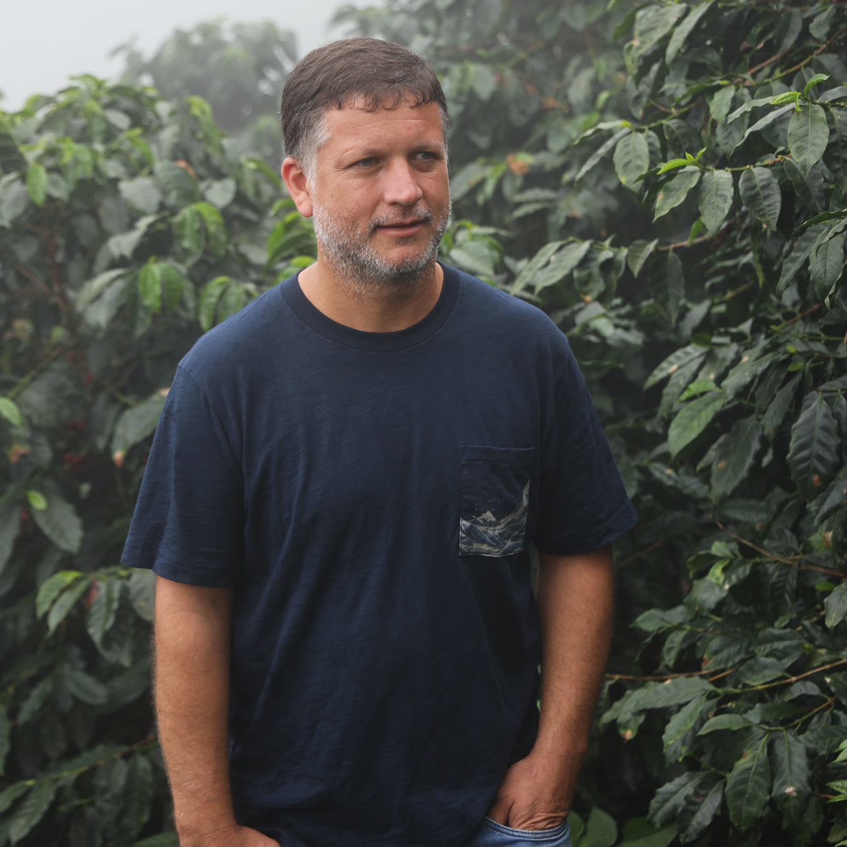 Cup of Excellence Honduras Box Set - 2025