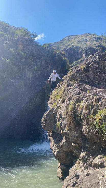 Fincas Del Putushio - Washed Typica Mejorado - Ecuador