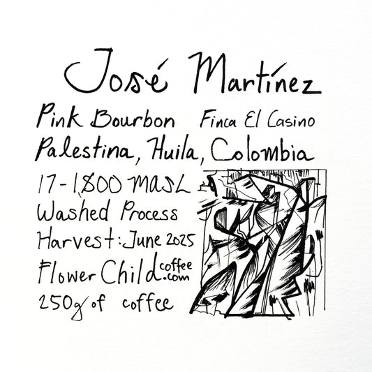 José Martínez