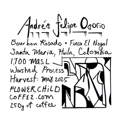 Andrés Felipe Osorio