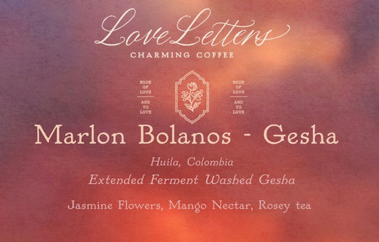 Marlon Bolaños - Gesha Washed