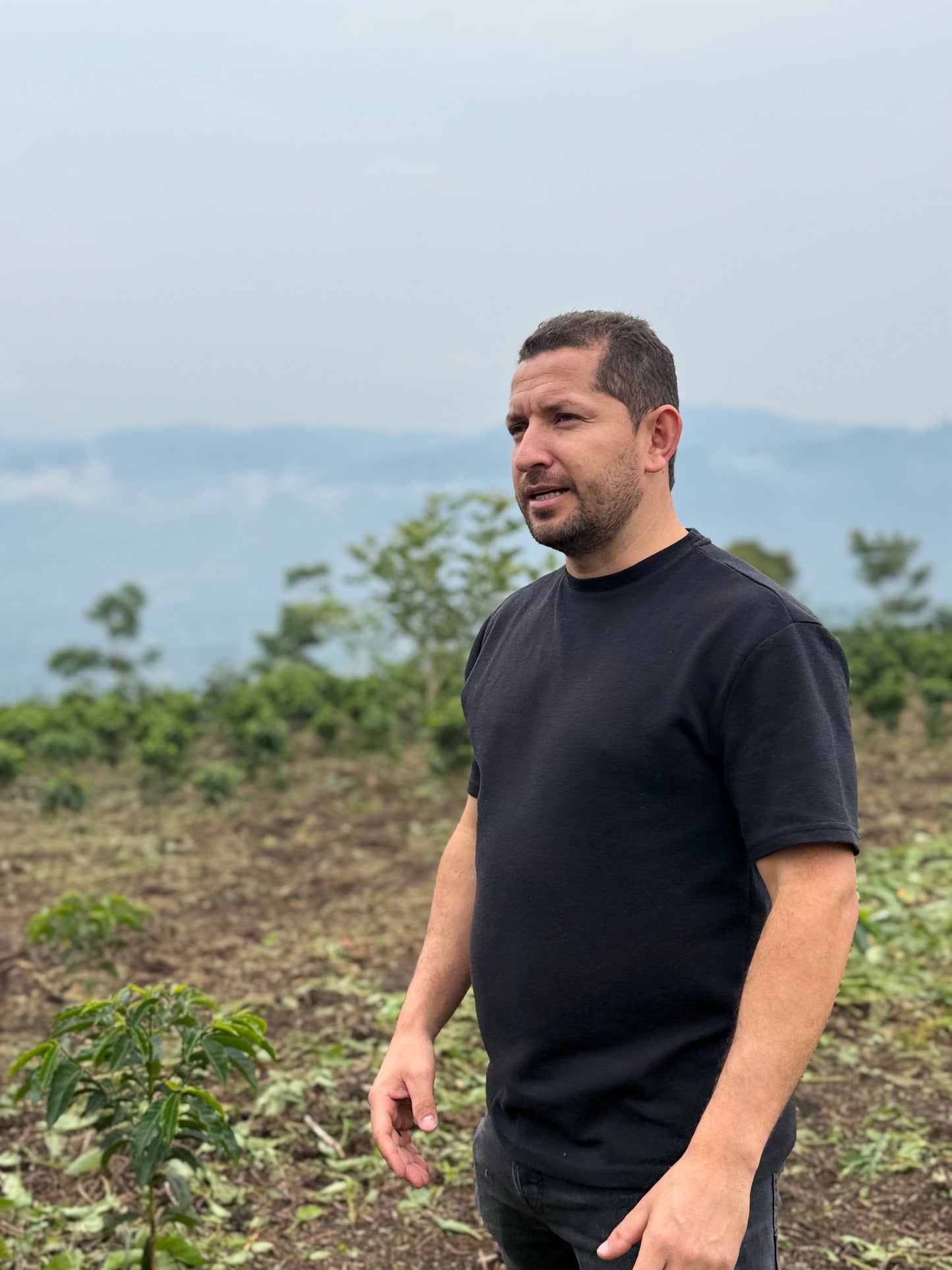 Zarza Coffee - Jhonatan Gasca - Anaerobic Natural Pacamara - Colombia