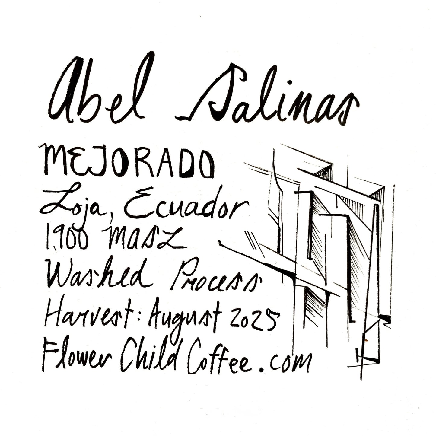Abel Salinas - Mejorado