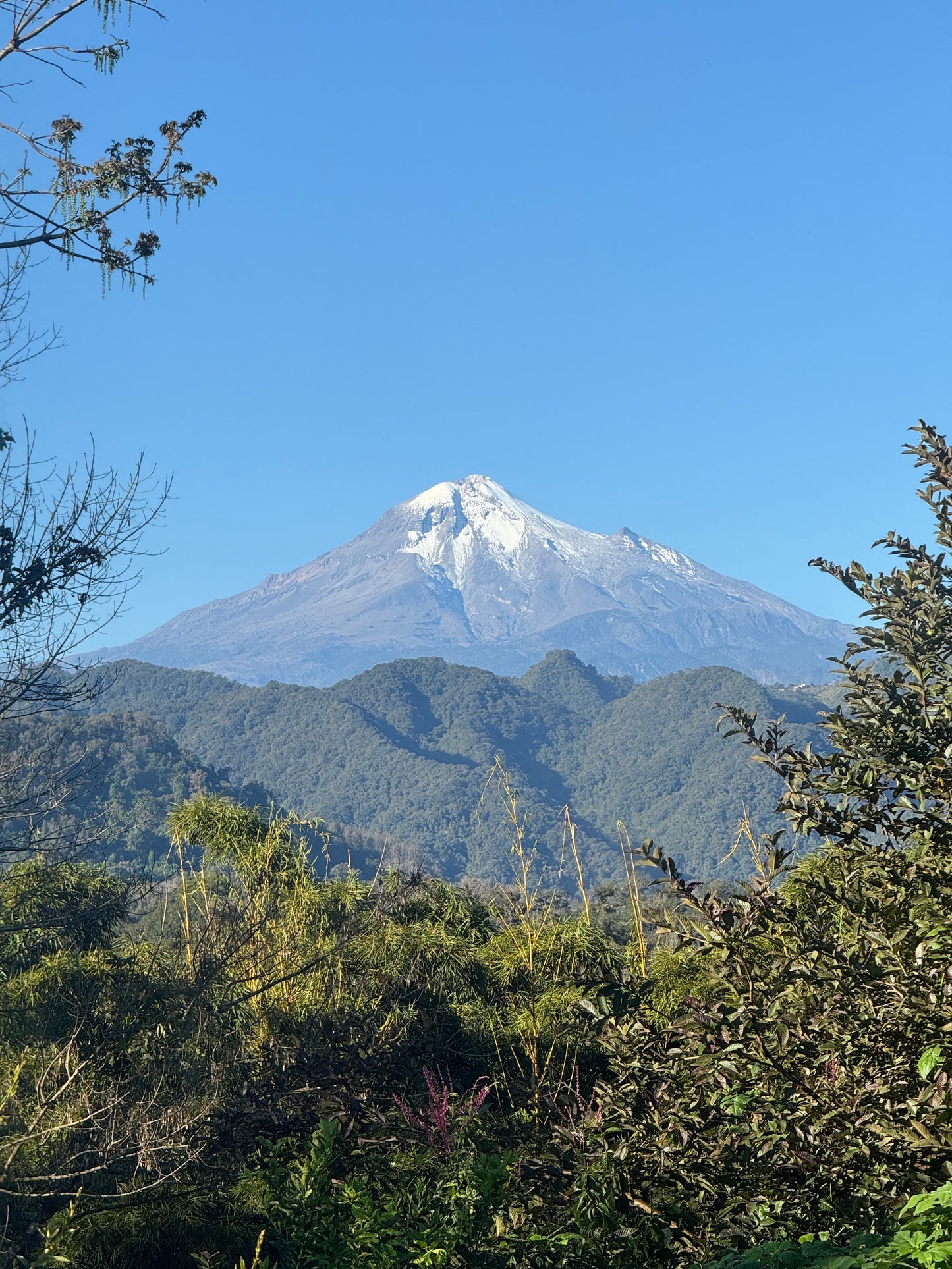 Las Cañadas, Starmaya Honey UL