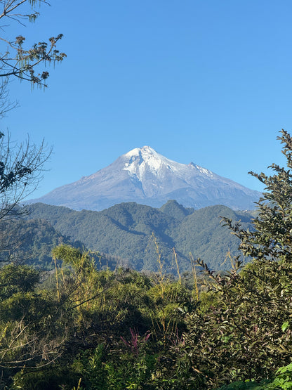 Las Cañadas, Starmaya Honey UL