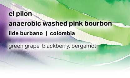 Ilde Burbano El Pilon - Anaerobic Washed Pink Bourbon - Colombia