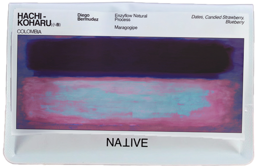 New - HACHI - Koharu Maragogipe Enzyflow Natural - (小春)