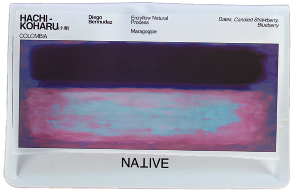 New - HACHI - Koharu Maragogipe Enzyflow Natural - (小春)