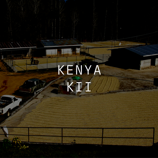 Kii - Washed Field Blend - Kenya