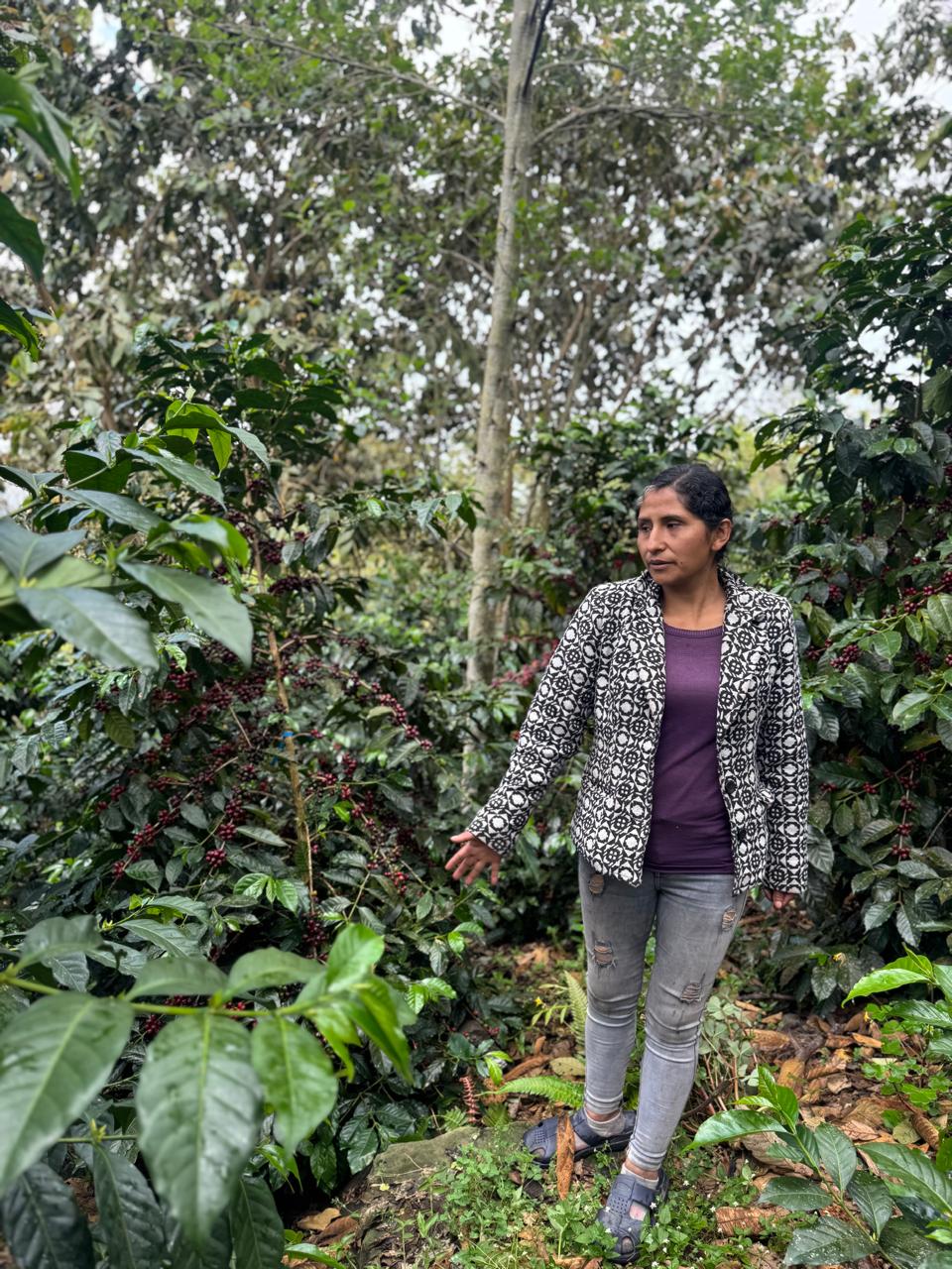 Lisbeth Mariño - SL9