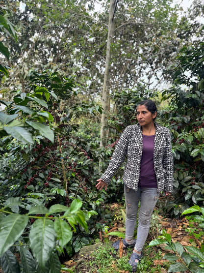 Lisbeth Mariño - SL9