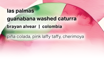 Las Palmas Brayan Alvear - Guanabana Washed Caturra - Colombia