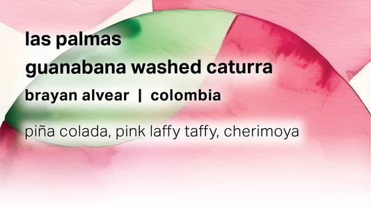 Las Palmas Brayan Alvear - Guanabana Washed Caturra - Colombia