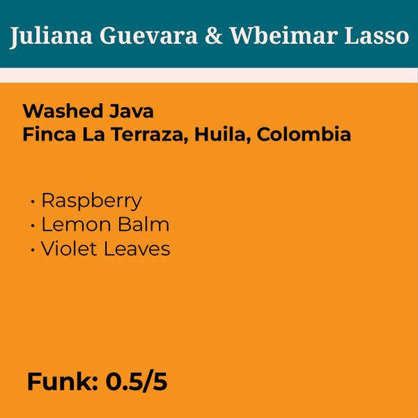 Juliana Guevara & Wbeimar Lasso Washed Java