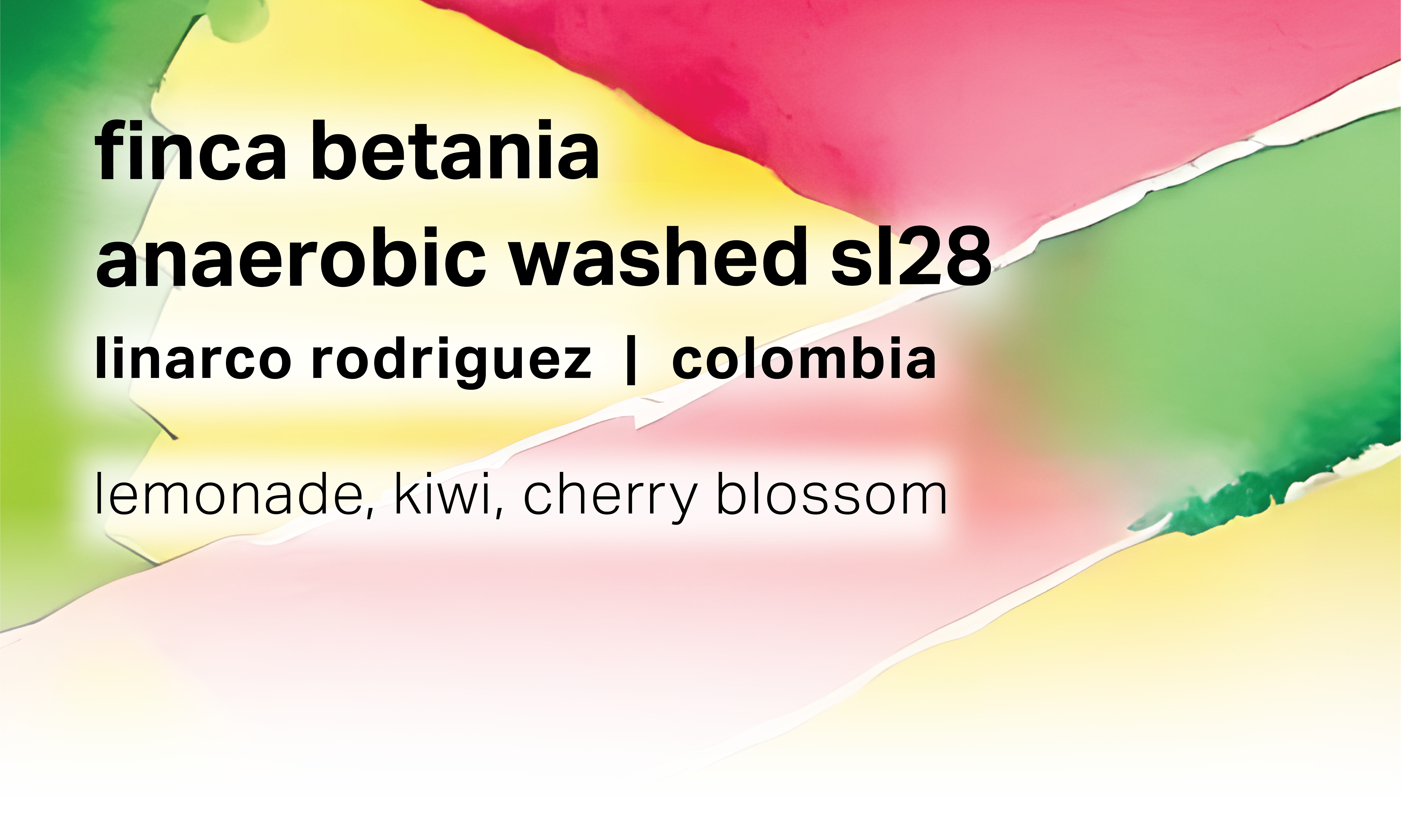 Linarco Rodriguez Finca Betania - Anaerobic Washed SL28 - Colombia ...