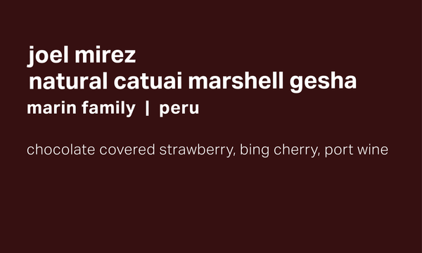 Joel Mirez Marin Family - Anaerobic Natural Catuai Marshell Gesha - Peru
