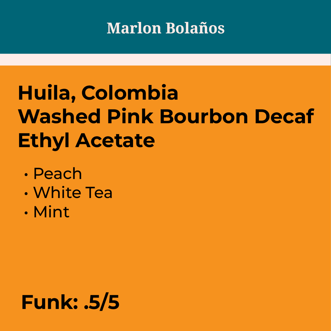 Marlon Bolaños Washed PB Decaf