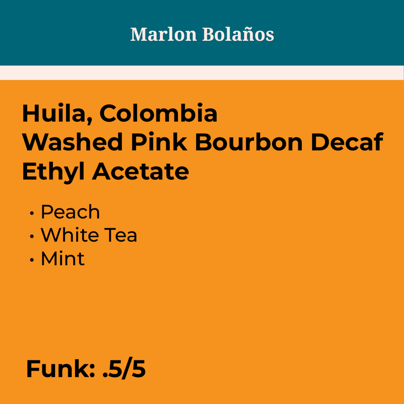 Marlon Bolaños Washed PB Decaf