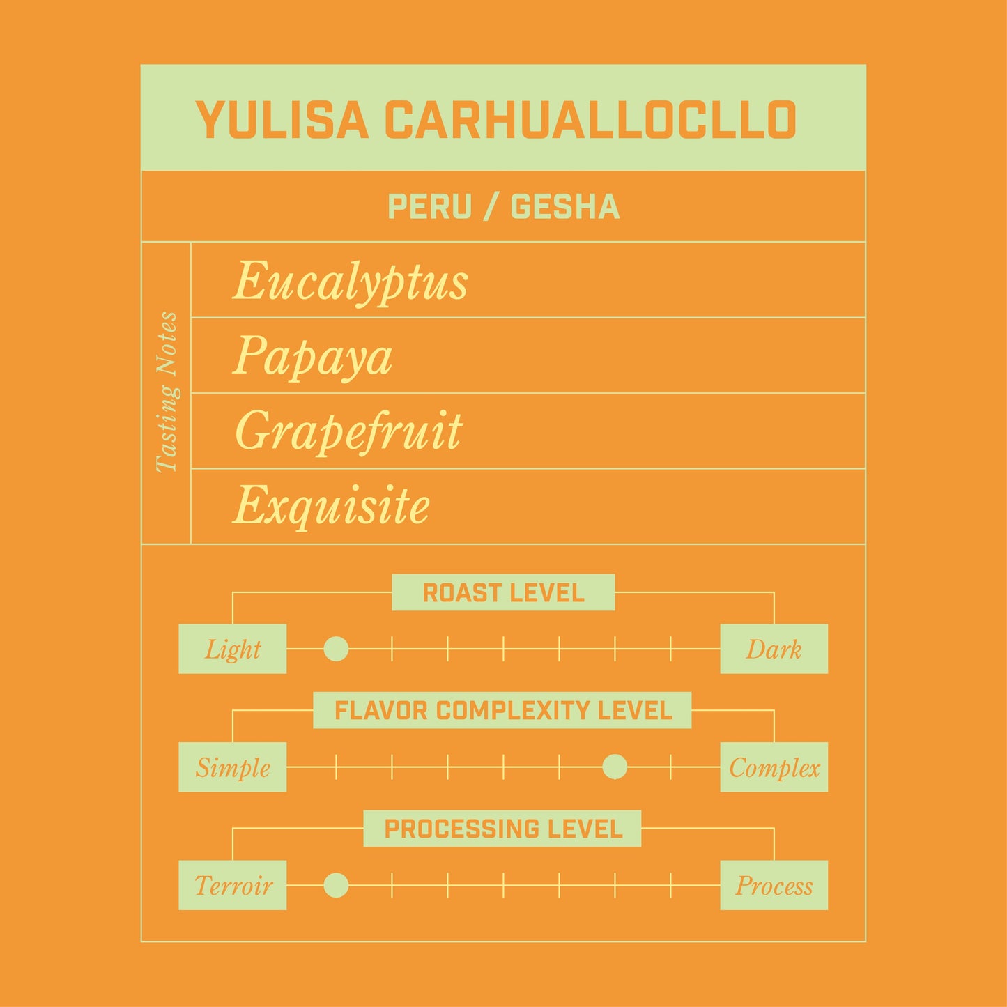 Yulisa Carhuallocllo Peru Gesha