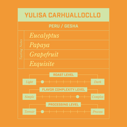 Yulisa Carhuallocllo Peru Gesha