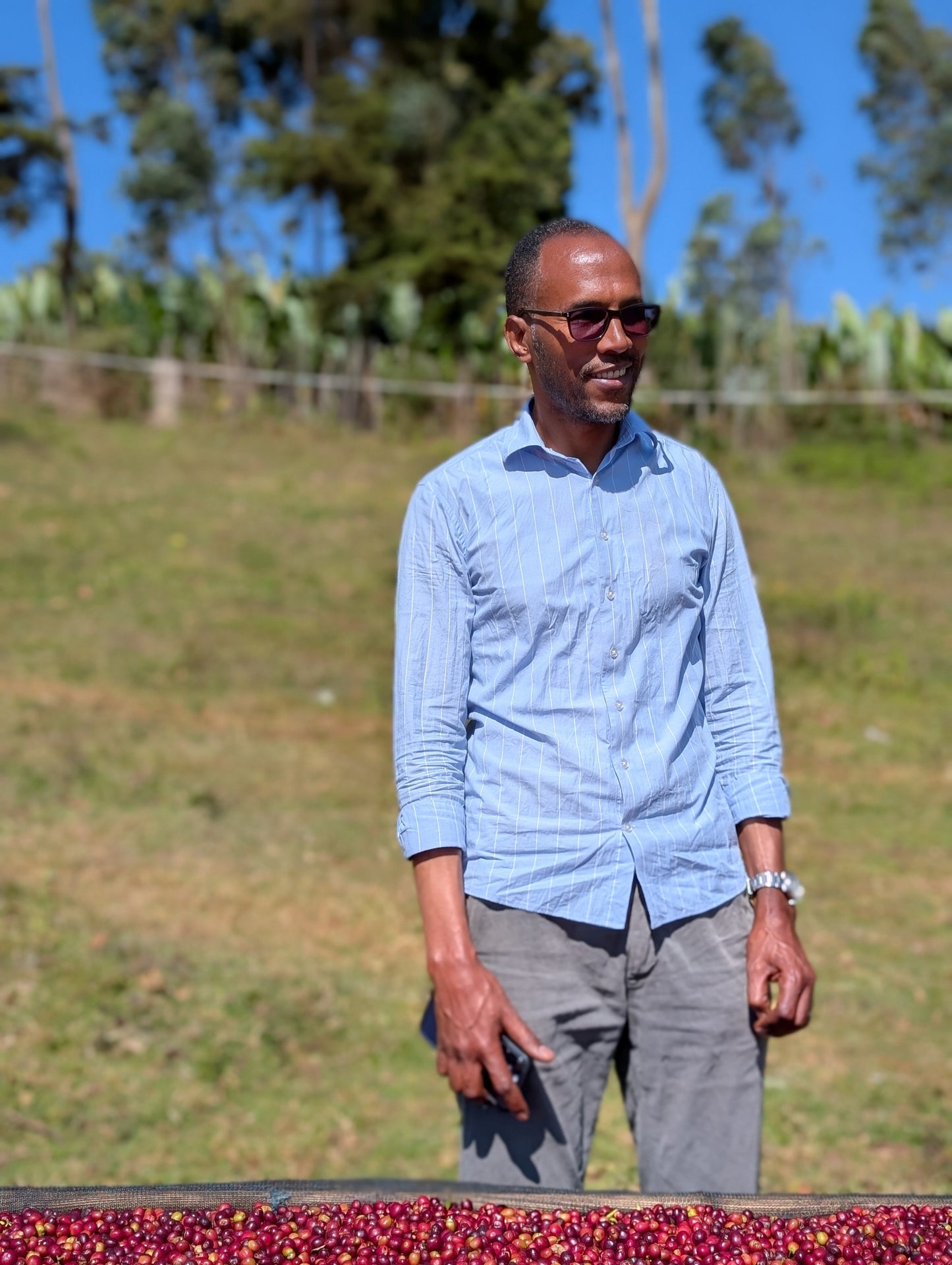 Tagel Alemayehu Olkai Coffee - Washed Landrace - Ethiopia