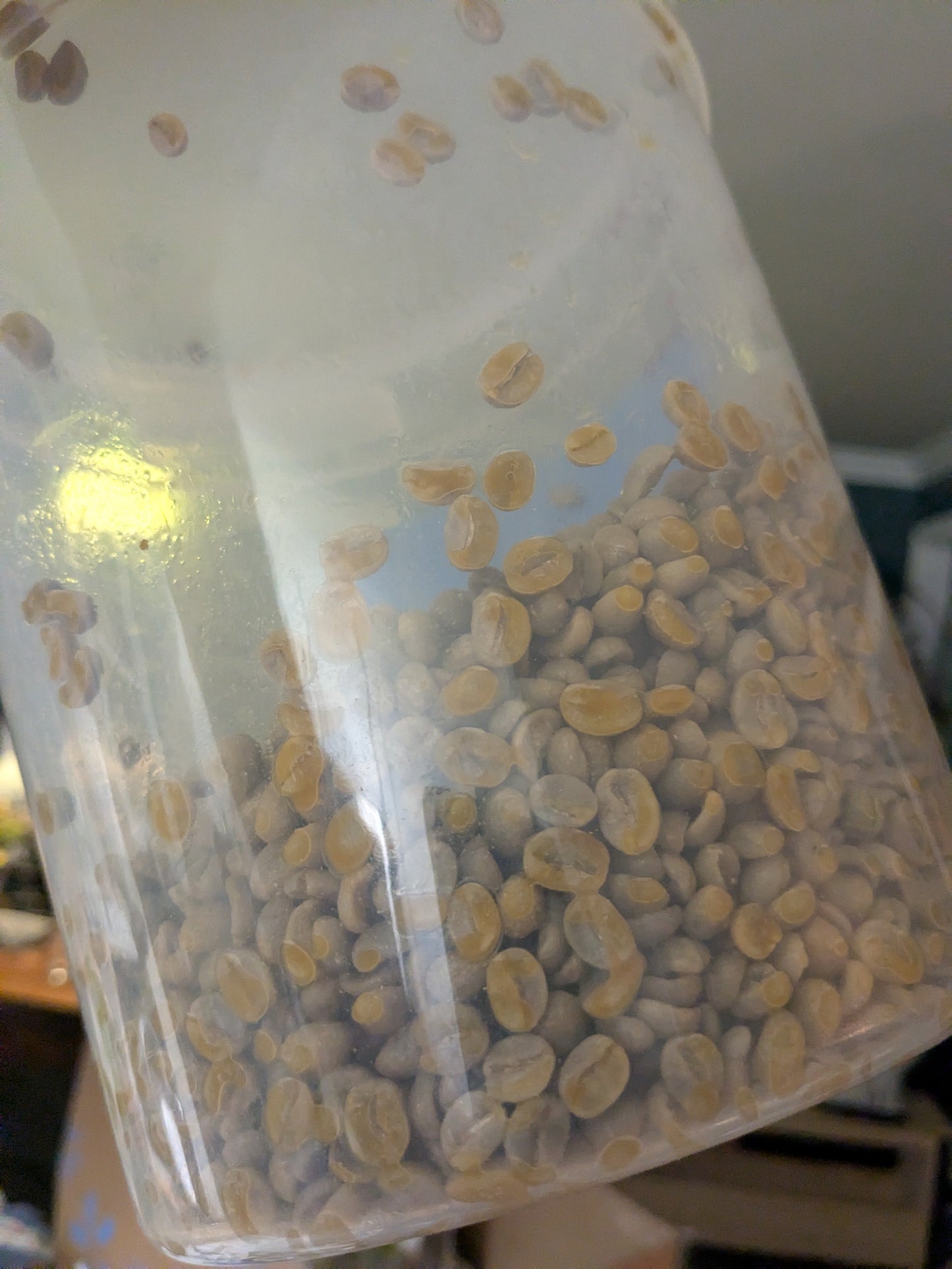 Yunnan Purple Caturra "Boba Brian"