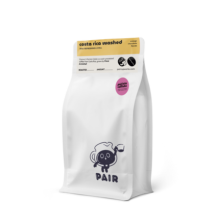 #146 Washed Process Coffee Beans from Costa Rica