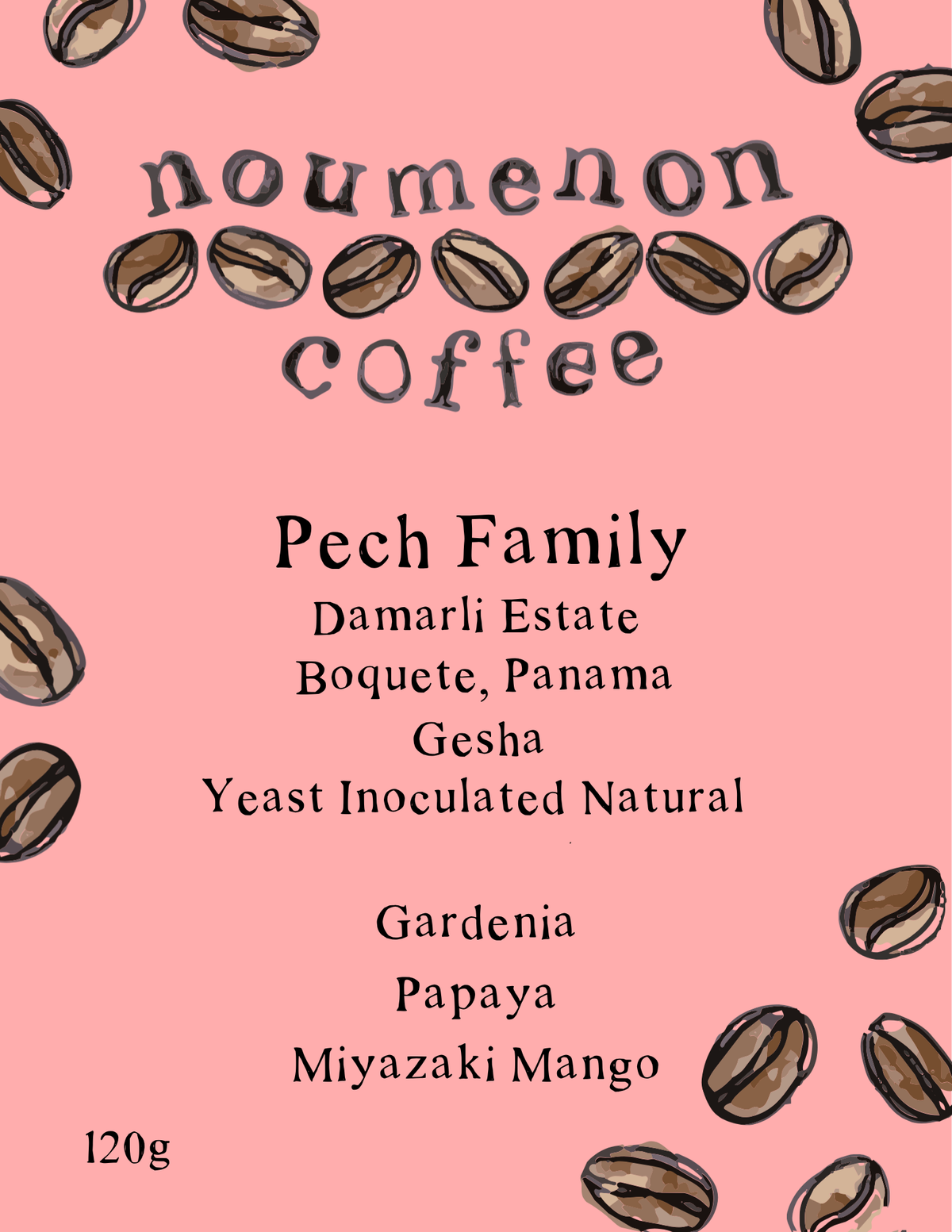Panama - Pech Family Gesha - Yeast Inoculated Natural Process