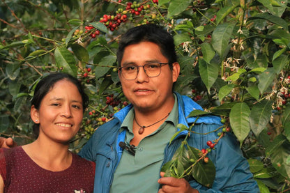 Chavez Estate Lot #1 - Jhenrri Chavez - Anaerobic Washed SL9 - Peru
