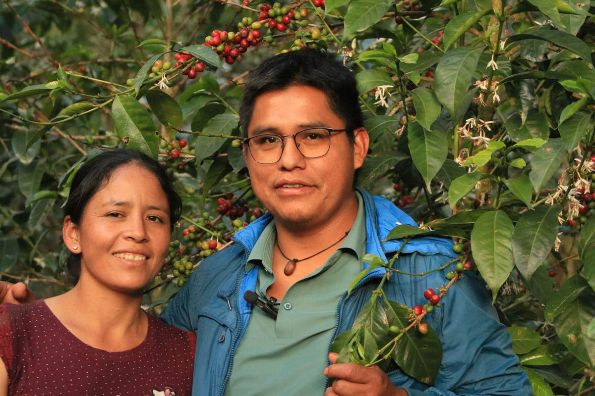 Chavez Estate Lot #3 - Jhenrri Chavez - Washed SL9 - Peru