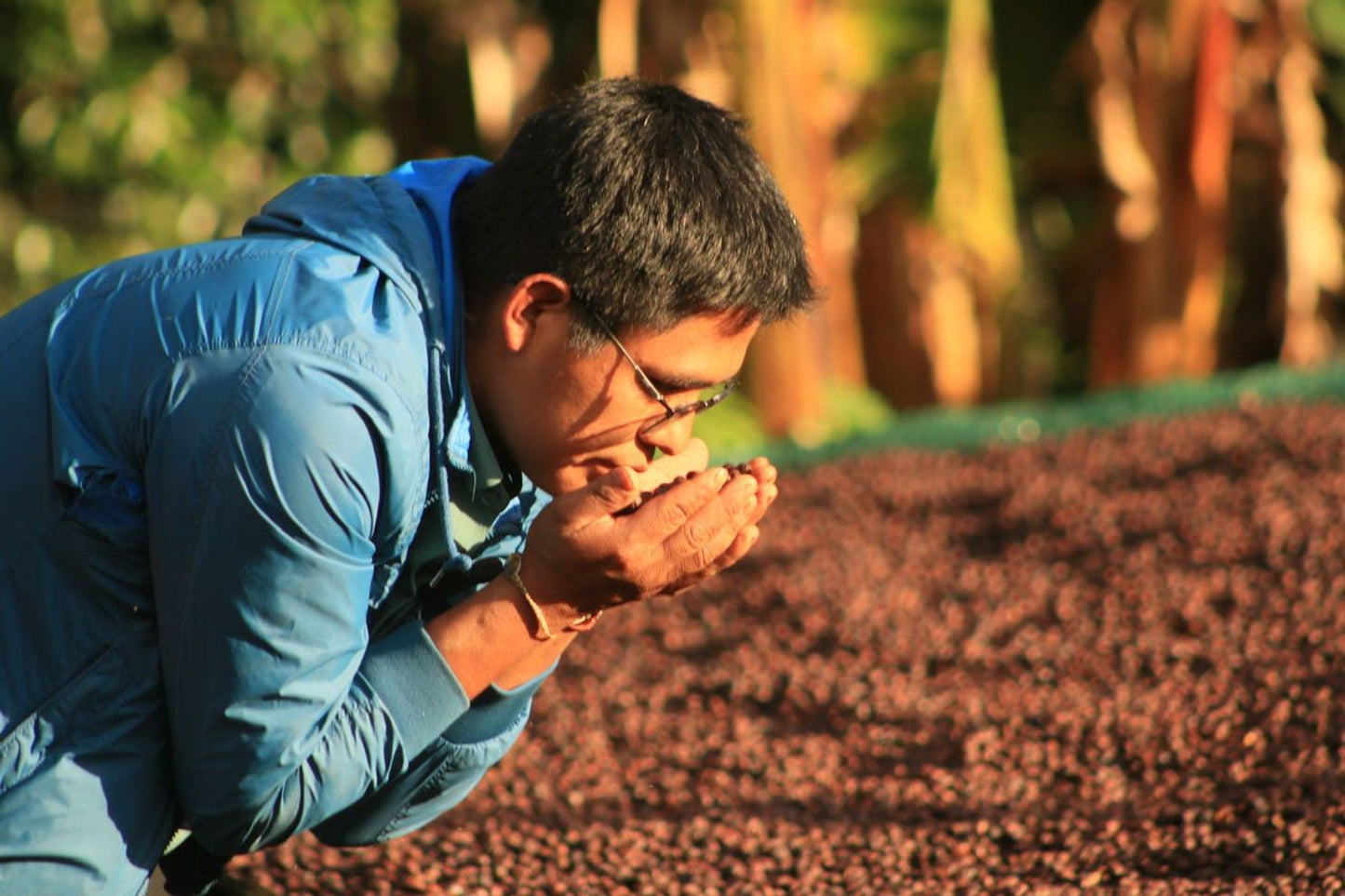 Chavez Estate Lot #1 - Jhenrri Chavez - Anaerobic Washed SL9 - Peru