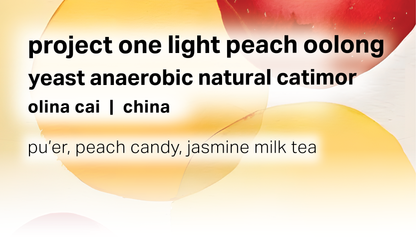 Project One Light Peach Oolong - Yeast Anaerobic Natural Catimor - China
