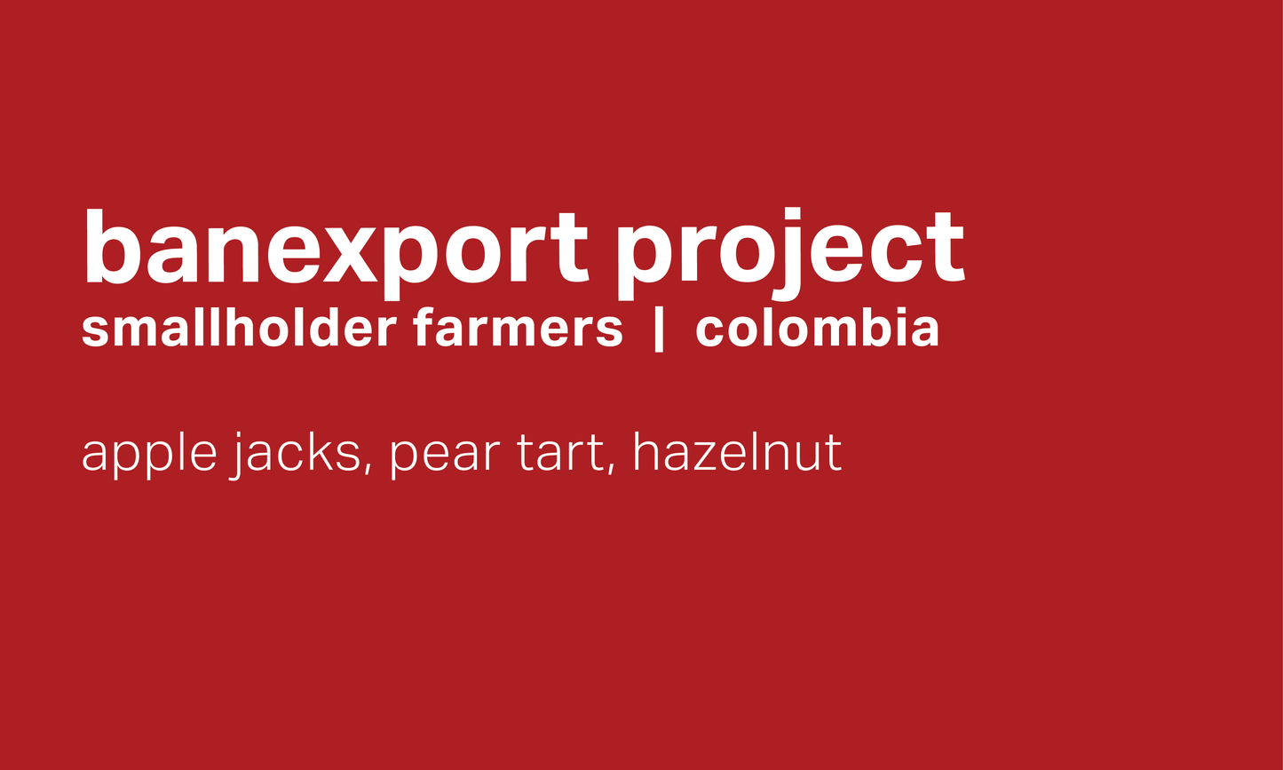 Banexport Project - Washed Castillo - Colombia