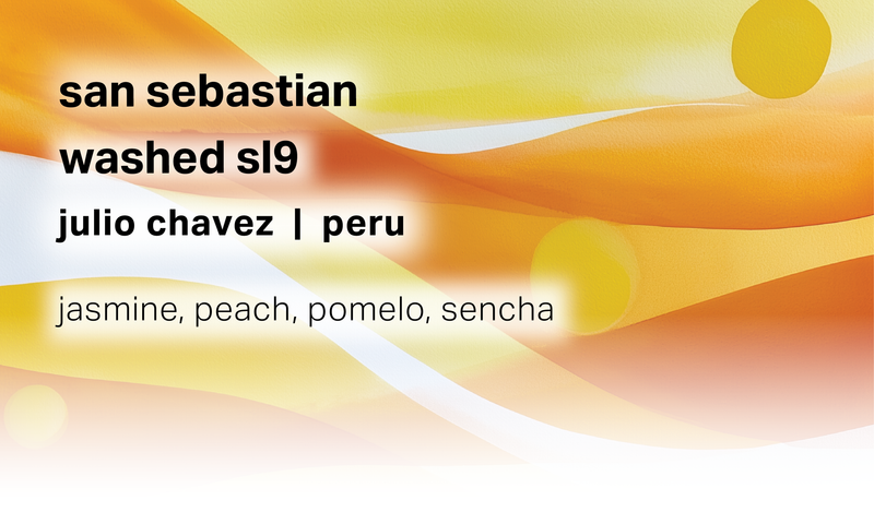 San Sebastian - Julio Chavez - Washed SL9 - Peru
