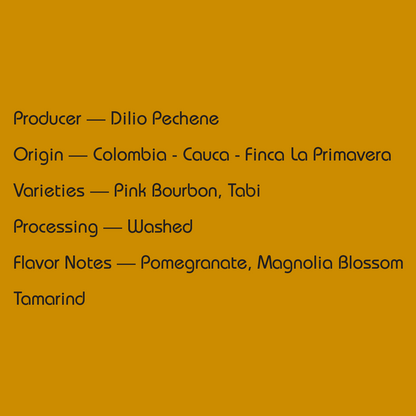 Colombia Dilio Pechene — Best of Cauca No. 1