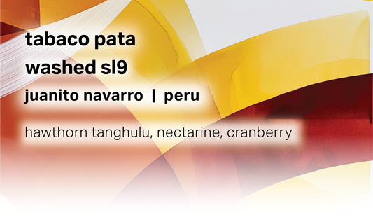 Tabaco Pata - Juanito Navarro - Washed SL9 - Peru