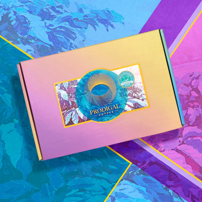 Cup of Excellence Honduras Box Set - 2025
