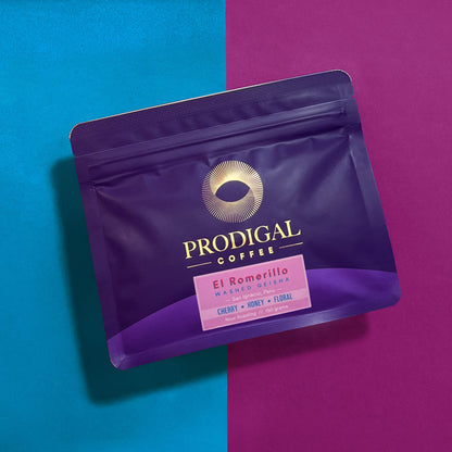 El Romerillo Geisha - Peru, washed