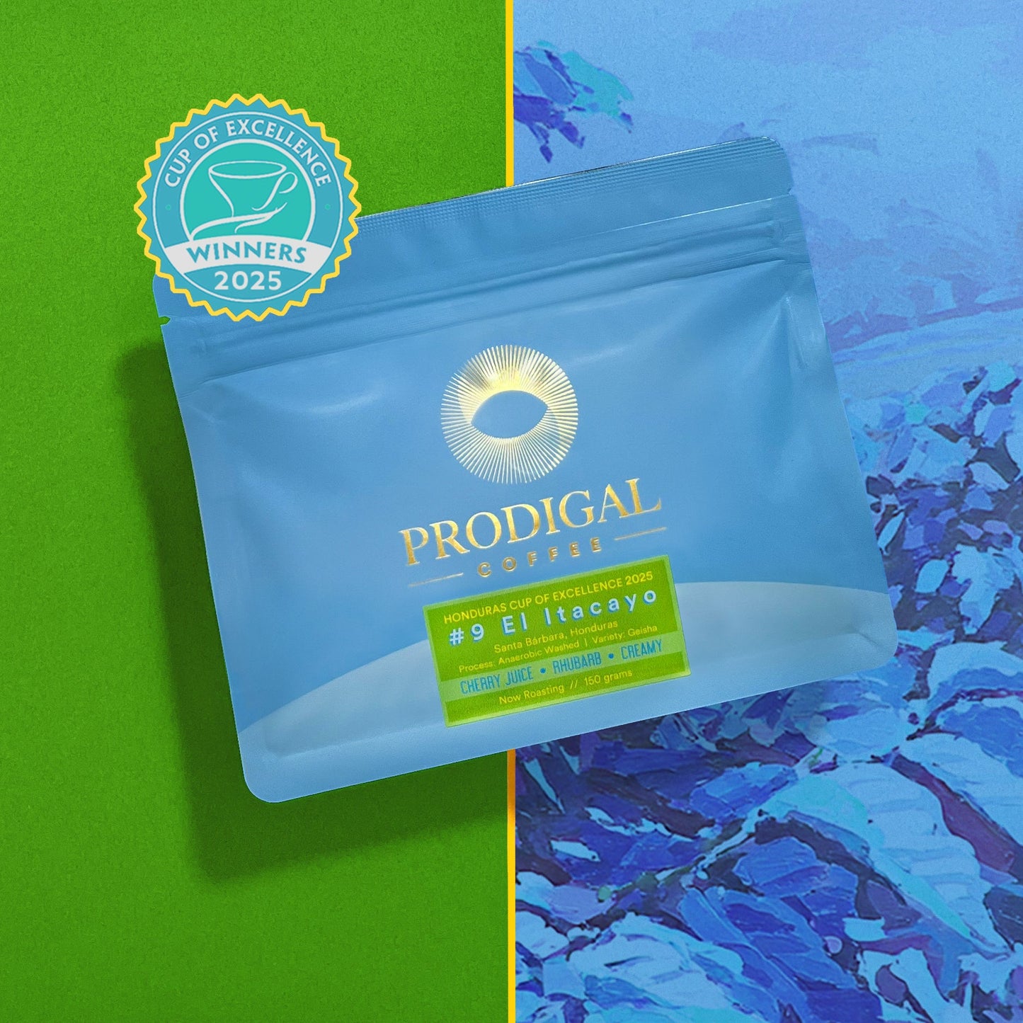Cup of Excellence Honduras Box Set - 2025