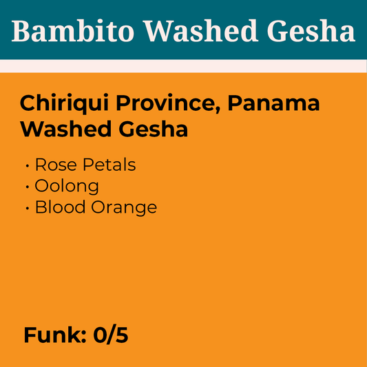 Bambito Washed Gesha