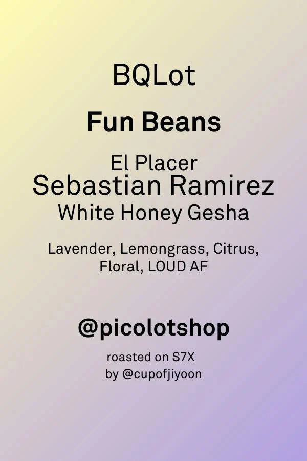 BRIAN QUAN X SEBASTIAN RAMIREZ GESHA WHITE HONEY