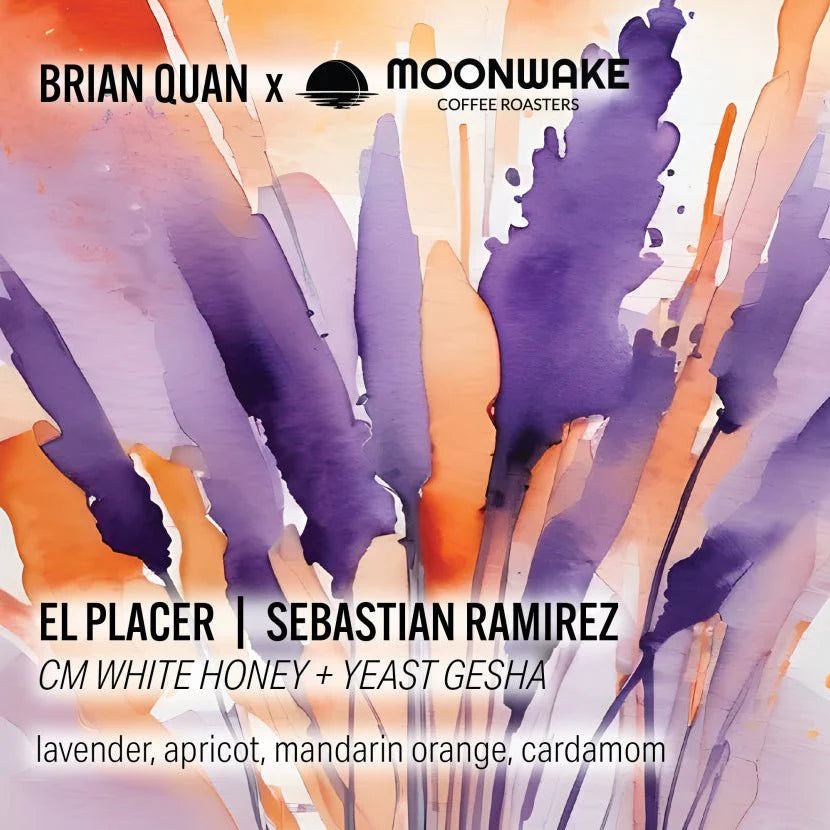 BRIAN QUAN X SEBASTIAN RAMIREZ GESHA WHITE HONEY