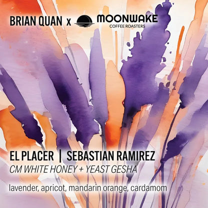 BRIAN QUAN X SEBASTIAN RAMIREZ GESHA WHITE HONEY