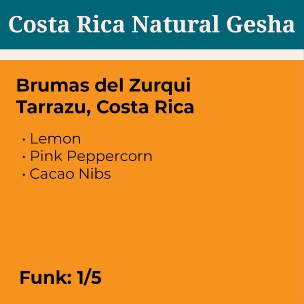 Brumas del Zurqui Costa Rica Natural Gesha Light Roast