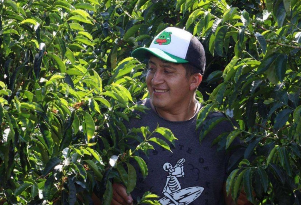 Finca Artemira - Ebert Huaman - Washed Gesha - Peru